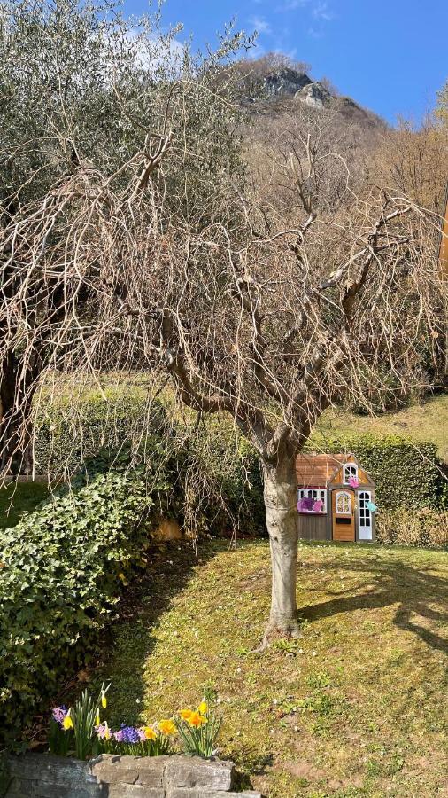 Few Steps To The Heart Of Menaggio, Swimming Pool, Breathtaking View Apartment Exterior foto